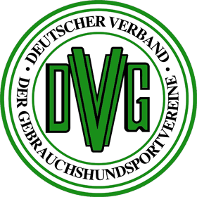 DVG Logo